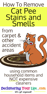 You can, however, remove cat urine and its odors from any washable fabrics. Cat Urine Stink How To Get Rid Of Cat Pee Smell Decluttering Your Life