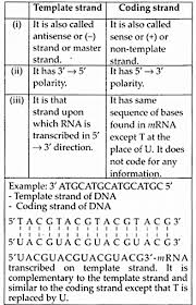 Ncert Solutions For Class 12 Biology Chapter 6 Molecular Basis Of Inheritance 8b Https Www Learninsta Com Nc Molecular Biology Biology Notes Study Biology