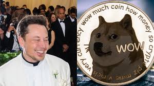 The most amazing place on reddit! Elon Musks Weg Von Null Kryptowahrungen Zum Dogecoin Cheerleader