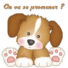 On va se promener ? - Chien - Gif animé - Gratuit - Le Monde des Gifs