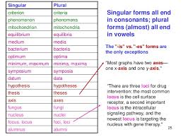 Thesis Plural Form Thesis Definition Of Thesis By Merriam Webster