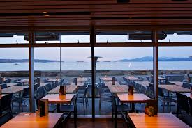 Buy saguaro cactus seeds from a seed distributor. Green Building Audio Tours Cactus Club Cafe English Bay