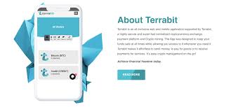 Investing in crypto opens up not only a new way to put your money into cryptocurrencies but also gives you an opportunity to become a part of the future yet today. Terrabit Gets Ready To Add Exciting New Features In August Hard Fork