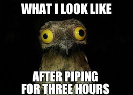 True Story Piping Baking Cupcakes Cakedecorating Cake Http Www Thebizofbaking Com Funny Cake Cake Quotes Old Memes