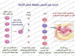 pin on دعامة القضيب