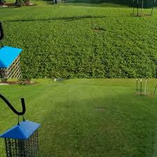 Scotts® turf builder® weed & feed3 with weedgrip technology, grips the weeds you see and the ones you don't for up to 2x more powerful dandelion and clover control (versus previous formulation), all while feeding and thickening your lawn to crowd out weeds. Scotts Turf Builder Winterguard Fall Weed Feed 3 14 29 Lbs 5 000 Sq Ft Walmart Com Walmart Com