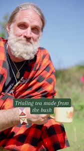 Image result for Ozoroa paniculosa