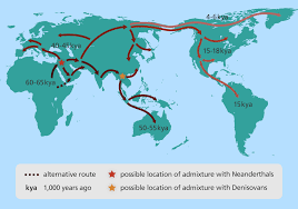 Evolution Of Modern Humans Stories Yourgenome Org