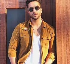 Arslan will be soon making his debut in web series. Aly Goni Biography Wiki Age Height Spouse Career Education Affairs