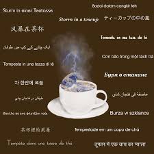 Sami Kham (samikham)