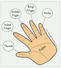 Fingers Name En Ingles English Vocabulary English Language Learning English Language Teaching