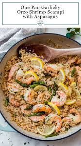 Garlicky Orzo Shrimp Scampi Recipe Little Spice Jar Recipe Vegetarian Recipes Healthy Scampi Recipe Recipes