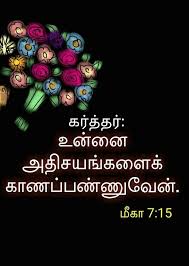 Pin On Bible Verses My Likes In Tamil