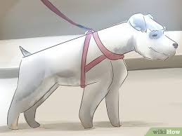 And if you're completely lost on how to even get started selling on amazon, bear with me for a sec. 3 Ways To Make Money Over The Summer Wikihow