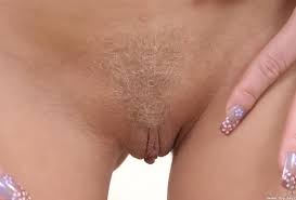 Largest selection of free tube movies on pornsos. Wallpaper Blonde Meat Curtains Pussy Labia Pubic Hair Hamburger Pussy Plump Pussy Desktop Wallpaper Xxx Walls Id 37872 Ftopx Com