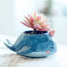 Enjoy free shipping on most stuff, even big stuff. Plant Pot Cartoon Mini Crocodile Whale Resin Flower Pots Elephant Animals Succulent Plant Pots Bonsai Planter Home Office Decor Sold By Planteruim On Storenvy