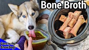 how to make beef bone broth for dogs