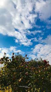 الغيوم in 2021 clouds quick
