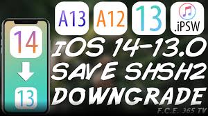 How To Save Shsh2 Blobs For Ios Downgrade Jailbreak On A12 And A13 Devices Iphone 11 Xs Xr Etc Youtube