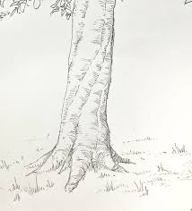 木イラストの描き方 絵の初心者ほど一気に上達する 木の書き方練習法 教えます イラスト講座 画力ゼロからはじめるイラスト漫画生活 木イラスト 風景スケッチ 木の絵
