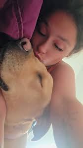 Found dog in Wysox, owner sought