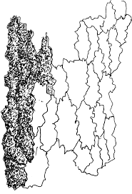 570 x 1013 jpeg 80 кб. How To Draw Tree Bark Texture Learn How To Draw