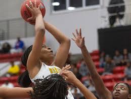 Image result for Tarenna leonardii