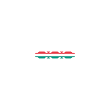 It is a horizontal tricolor. Hungary Flag