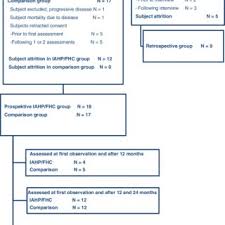 Flow Chart Of Subject Participation And Attrition