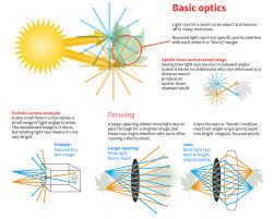 Find out how the eyes and brain work together in this eye video. The Eye Is A Sensory Organ That Perceives Light Transforms It Into An Electrical Signal And Sends It To The Brain To Produce Human Eye Eye Health Facts Eyes