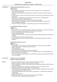 Systems Business Analyst Resume Samples Velvet Jobs