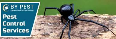 Competitive pest control has been providing sydney with quality pest control services since 1992. Pest Control Sydney 0488 853 920 By Pest Control Sydney