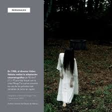 Image result for Gris 1988 ARO