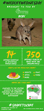 Our Wildlifewednesday Star Is The Bilby Wildlife Park Wildlife Fruit Seeds