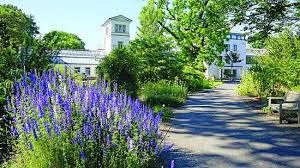 Verzeichnis botanischer gärten in deutschland. Botanischer Garten Leipzig 2021 All You Need To Know Before You Go With Photos Tripadvisor