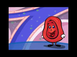 Human Body Videos For Kids Primary Theme Park Human Body Videos Human Body Science Human Body Unit Study