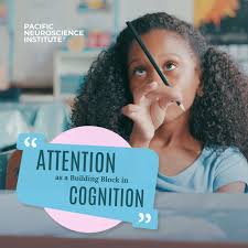 Dr. Marsha H. Ershaghi CCEP