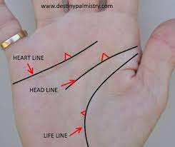 Triangle Meaning On The Palm Lines Palm Reading Charts Palm Reading Palm Lines