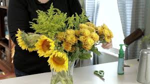 We did not find results for: How To Extend The Life Of Cut Flowers Youtube
