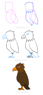 How To Draw A Falcon Comment Dessiner Un Faucon Drawing For Beginners Easy Drawings Sketches Bird Drawing For Kids