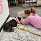 PAWS 4 Reading event in Altoona, PA