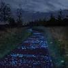 There are some walking maps by the path, though with the construction works they weren't much use during my visit. Https Encrypted Tbn0 Gstatic Com Images Q Tbn And9gcr8vzfqqfsst1itltyxtawdskrdwlijxsc92hh9h8qjsqrh9rta Usqp Cau
