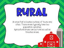 rural urban and suburban anchor charts and foldable