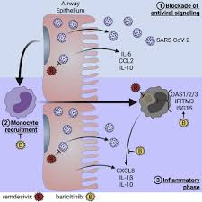 Image result for Baricitinib