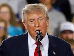 Donald Trump, 80, Gives Bizarre Update on Reflecting Pool
