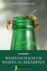 Wespen Effektiv Mit Wespenschaum Bekampfen Wespe Wespen Vertreiben Was Tun Gegen Wespen