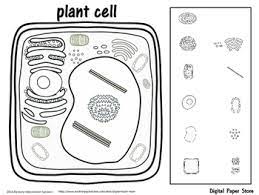 We did not find results for: Plant Cell And Organelles Clipart Personal Commercial Use Tpt