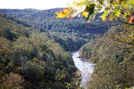 See the amazing properties available to you at bear lake reserve. Youghiogheny River Gorge From Paradise Overlook Bild Von Bear Run Nature Reserve Mill Run Tripadvisor