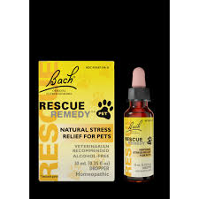 The head may be tilted to one side. Rescue Remedy Pet Natural Anxiety Stress Relief 10 Ml Walmart Com Walmart Com