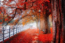 Choose from hundreds of free nature wallpapers. Scenery Ultra Hd Nature Wallpaper For Laptop